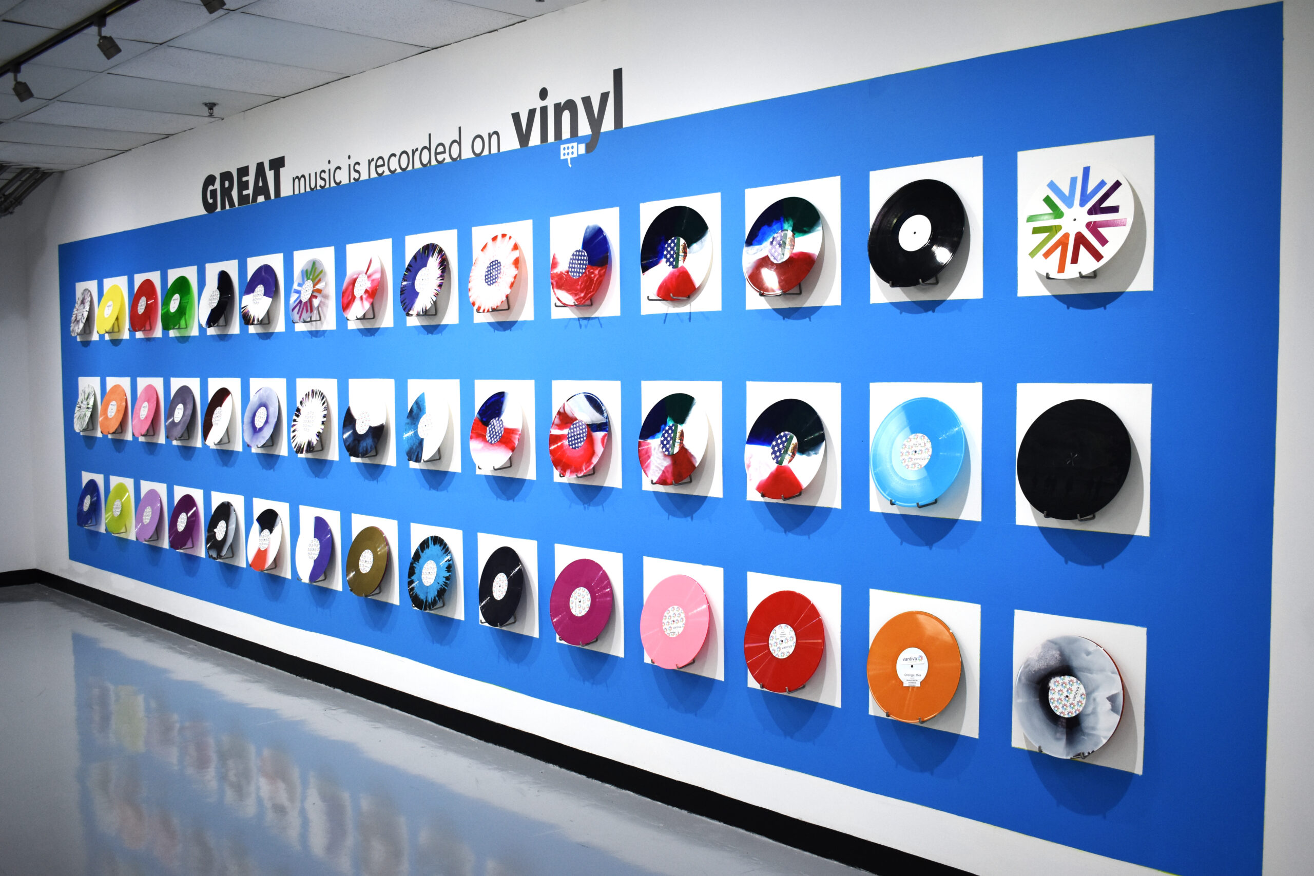 A wall of colorful vinyl records